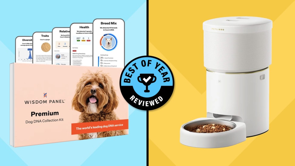 Side-by-side image of the Wisdom Panel Premium dog DNA kit and the Petlibro Space Automatic Pet Feeder with pet food in it.