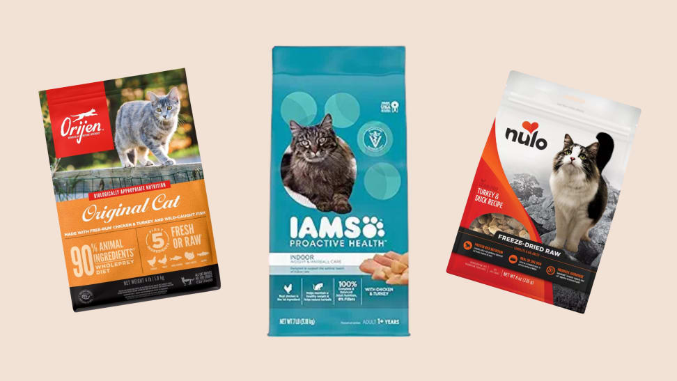 Three different bags of cat food brands.