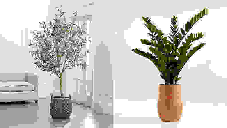 A split image of artificial plants from Crate & Barrel, one of the best places to buy artificial plants.