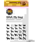 Product image of DNA My Dog