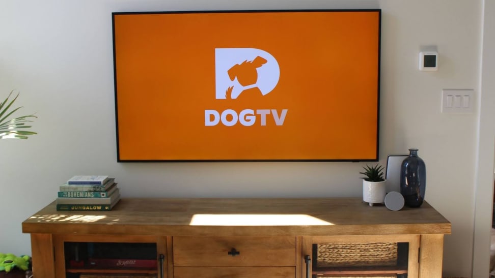 The orange DOGTV logo shown on a mounted TV.