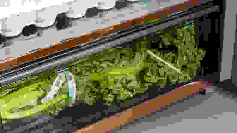 A close-up of the crisper drawer, which has copper detailing and contains a fresh bushel of kale.