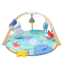 Product image of Melissa & Doug Ocean Easy-Fold Play Gym