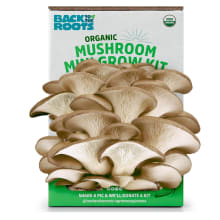 Product image of Back To The Roots Organic Mini Mushroom Grow Kit