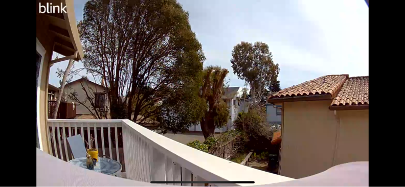 Camera footage of a backyard.