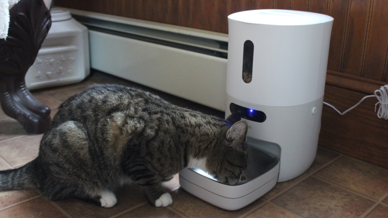 A cat eating their food from the PawSync Smart Pet Feeder on the floor.