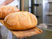 Steam bath vs. Dutch oven: Which makes better bread?